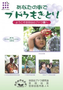 世田谷区ぶどうもぎとり