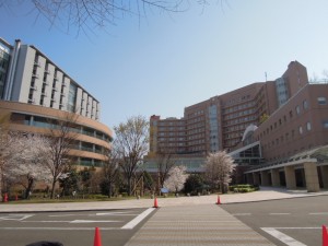 国立成育医療研究センター病院・成育しせい保育園