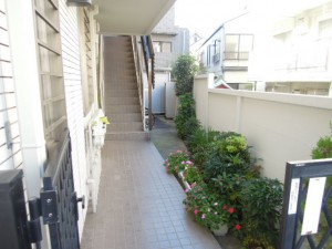 世田谷区砧2丁目、小田急線祖師ヶ谷大蔵駅/千歳船橋駅徒歩10分1K賃貸マンションエントランス植栽・植木がお出迎え