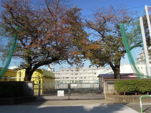 世田谷区立千歳台小学校