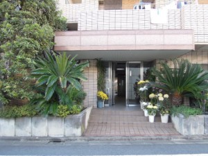 ■DSCN3024小田急線千歳船橋駅徒歩14分・祖師ヶ谷大蔵駅徒歩19分、世田谷区千歳台3丁目賃貸マンションエントランス